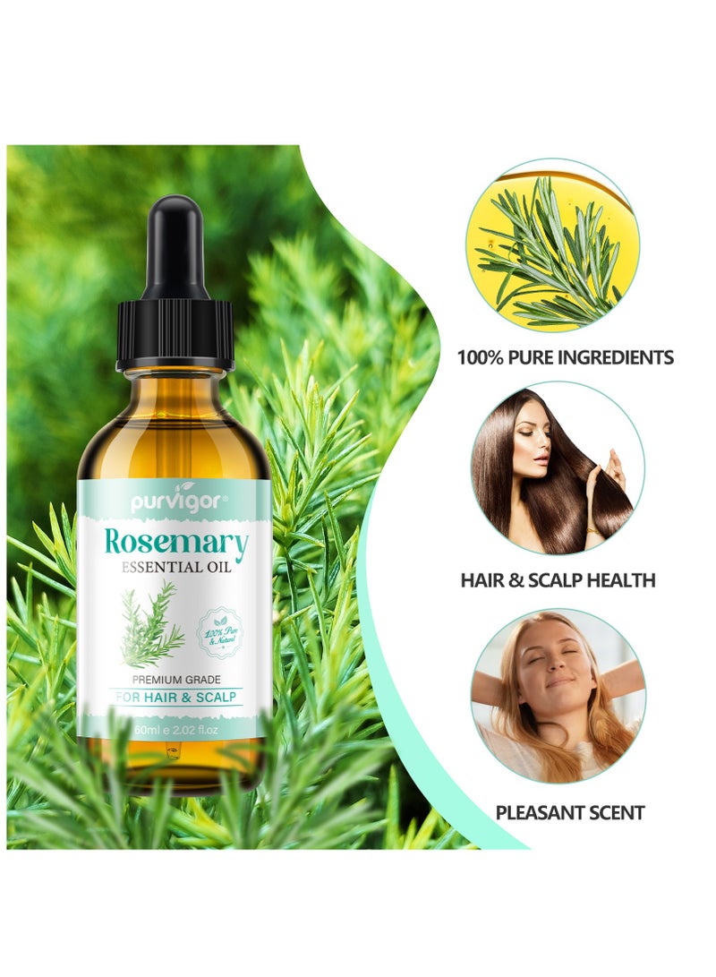 Purvigor 60ml Rosemary Essential Oil  for Hair Growth Pure Organic Rosemary Oil for Dry Damaged Hair and Growth Hair Scalp Oil  Pure and Natural Premium Quality Oil Hair Loss Treatment Oil for Men and Women - Image 4