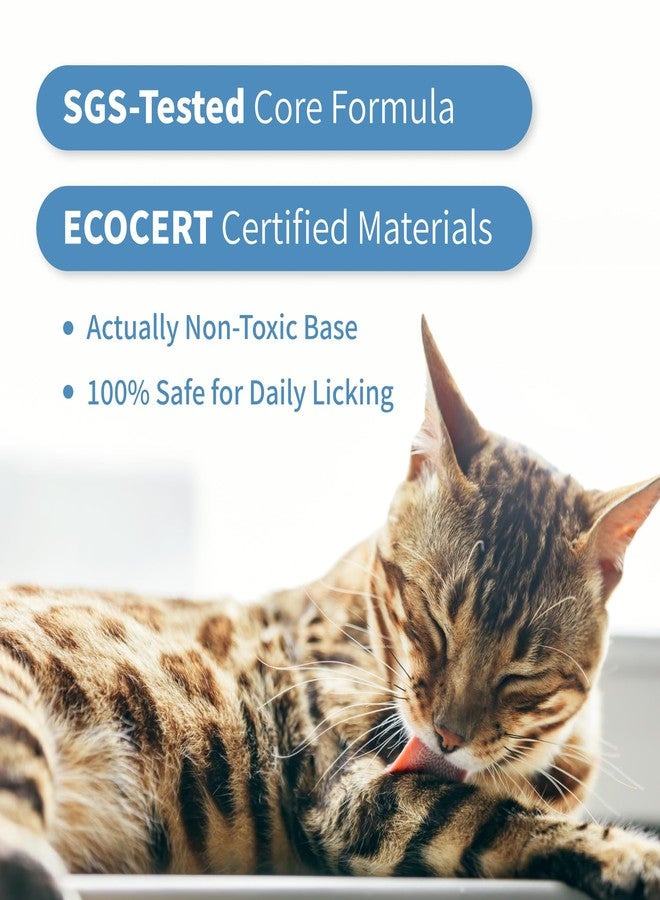 Mooncat Waterless Cat Shampoo + 2-in-1 Cat Bath Brush Set, No Rinse Dry Foam Bath for Short Hair Cats & Kittens, SGS-Tested Lick-Safe, Veterinarian Approved & pH-Balanced, Brush, 5 oz - Image 3