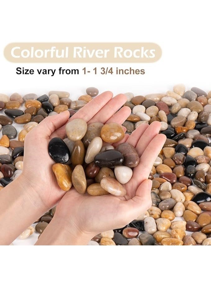 Multicolored Decorative Stones, Smooth Polished Pebbles for Aquariums, Gardens, Landscapes, Plants, and Home Decor, Durable Pebbles in Shades of Black and Brown (Large - 1kg)  - Image 2
