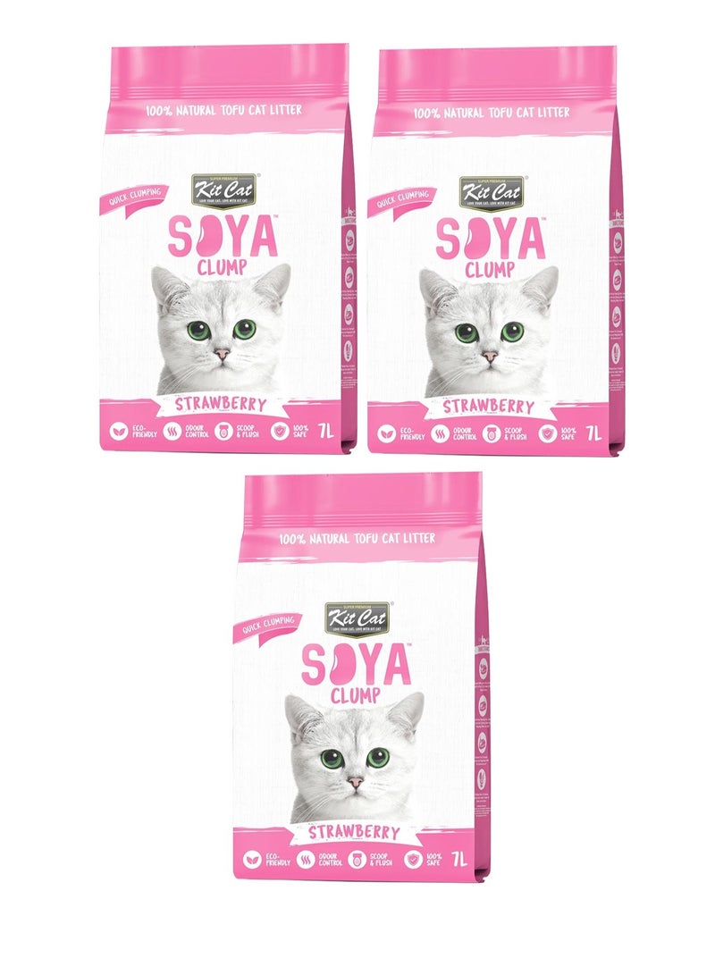 كيت كات 3 قطع من فضلات فول الصويا برائحة الفراولة 3x7 لتر - Image 1