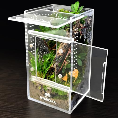 MYGIIKAKA Jumping Spider Enclosure Accessories, Tarantula Spider Box, Bug Cage, Praying Mantis Habitat Enclosure, Snail Insect Terrarium, Caterpillar Habitat (3x3x6 inch) - Image 1