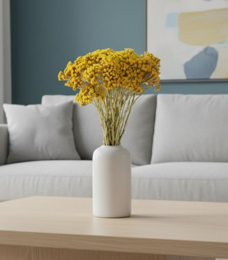 FANCY FLOWERS FANCY Premium Dried Lonas Flowers | Long-Lasting Yellow & Painted Decorative Stems | Natural Dried Botanicals for Home Decor - Image 2