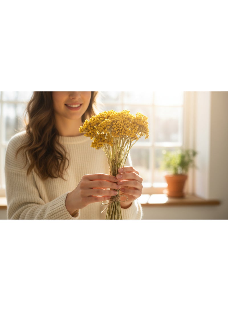 FANCY FLOWERS FANCY Premium Dried Lonas Flowers | Long-Lasting Yellow & Painted Decorative Stems | Natural Dried Botanicals for Home Decor - Image 5