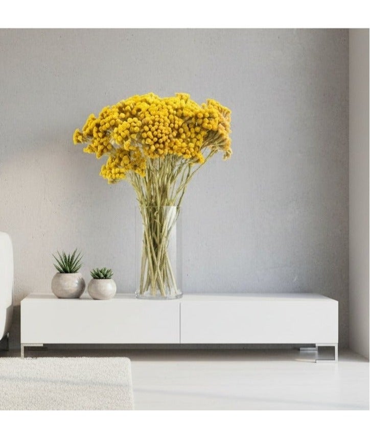 FANCY FLOWERS FANCY Premium Dried Lonas Flowers | Long-Lasting Yellow & Painted Decorative Stems | Natural Dried Botanicals for Home Decor - Image 1