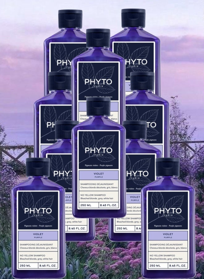 فيتو 10 قطع شامبو فيتو باريس البنفسجي بدون اصفرار 250مل - Image 1
