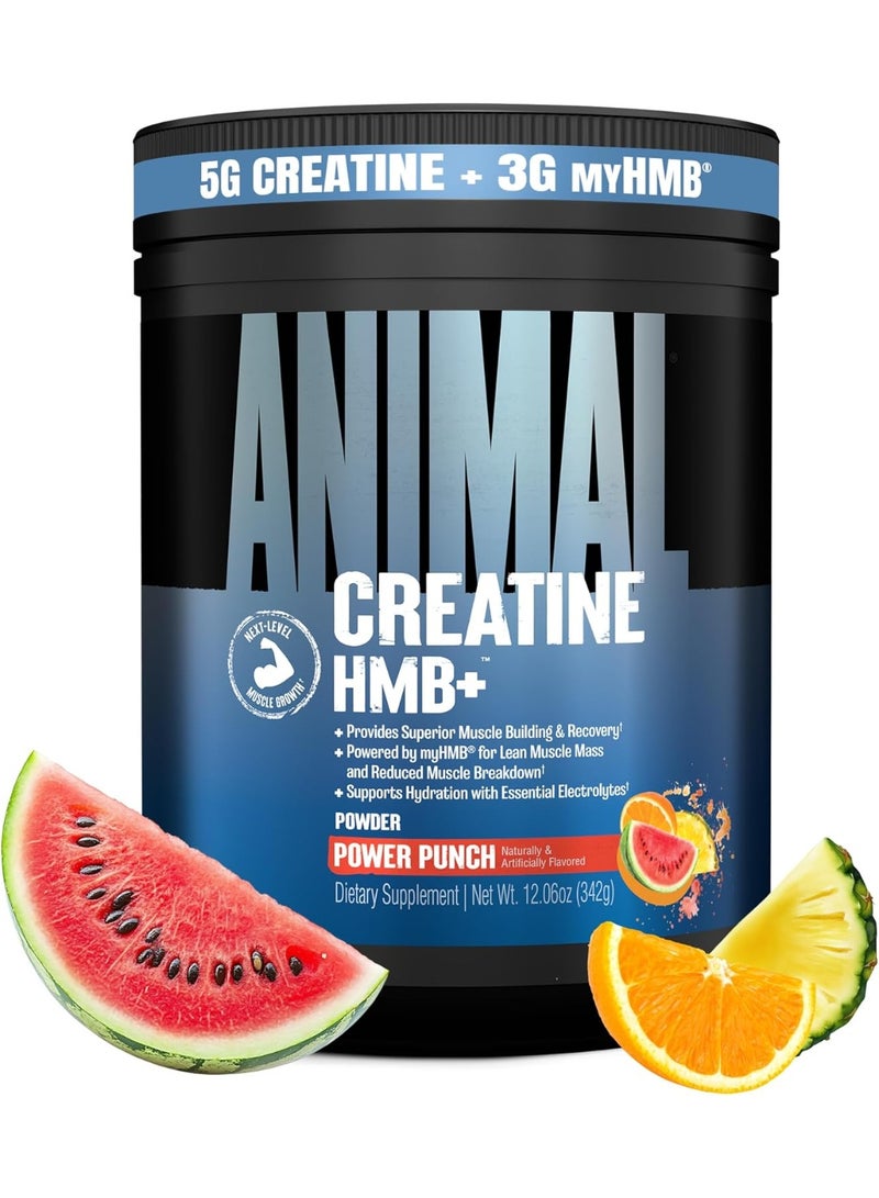 يونيفرسال نيوتريشن مسحوق Animal Creatine HMB – يحتوي على 3 غرام myHMB و5 غرام كرياتين مع إلكتروليتات لدعم التعافي والطاقة اليومية – بنكهة "Power Punch" – 30 حصة - Image 1