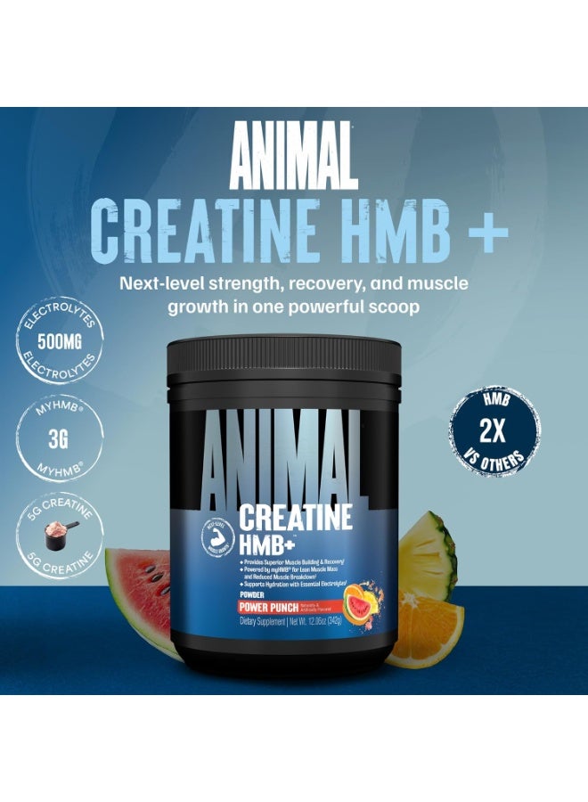 يونيفرسال نيوتريشن مسحوق Animal Creatine HMB – يحتوي على 3 غرام myHMB و5 غرام كرياتين مع إلكتروليتات لدعم التعافي والطاقة اليومية – بنكهة "Power Punch" – 30 حصة - Image 2