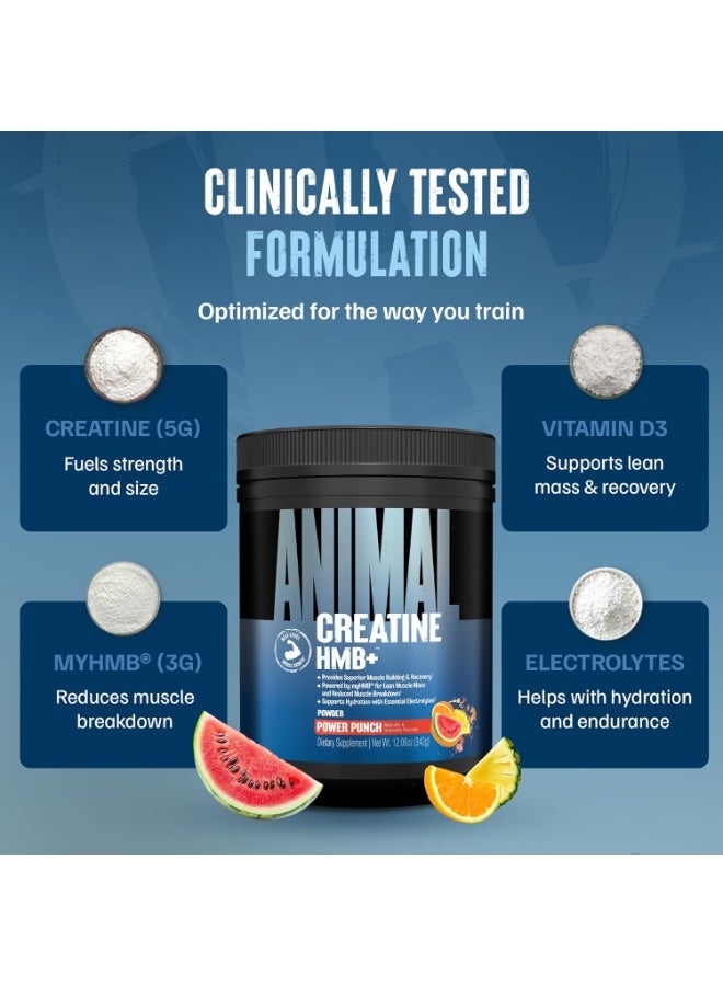 يونيفرسال نيوتريشن مسحوق Animal Creatine HMB – يحتوي على 3 غرام myHMB و5 غرام كرياتين مع إلكتروليتات لدعم التعافي والطاقة اليومية – بنكهة "Power Punch" – 30 حصة - Image 5