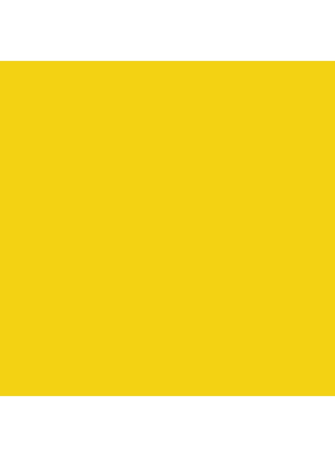 FABER-CASTELL Faber-Castell POLYCHROMOS ARTIST COLOUR PENCILS LIGHT CHROME YELLOW - Image 2