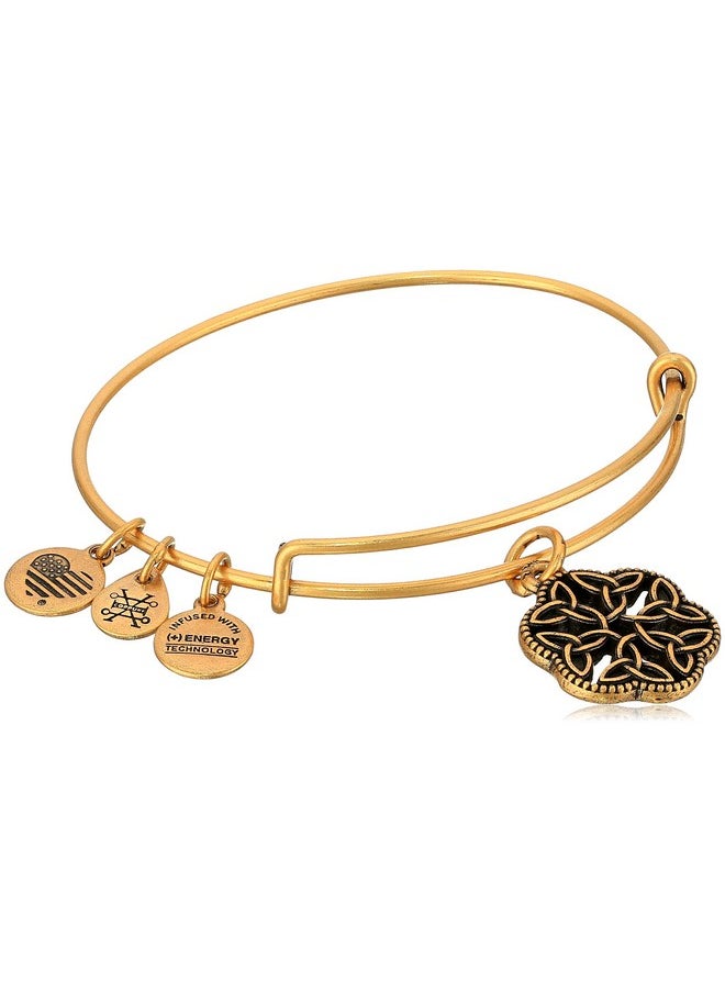 ALEX AND ANI Endless Knot Iii Rafaelian Gold Bangle Bracelet  - Image 1