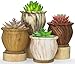 ARTKETTY ARTKETTY Succulent Pots, 4.5 Inch Small Succulent Planters Pots with Drainage Tray Colorful Cactus Planter Ceramic Pots  - Image 2