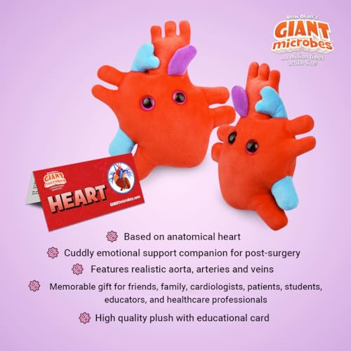 Giant Microbes GIANTmicrobes Heart Plush, Heart Stuffed Animal, Heart Transplant Gifts, Heart Toy, Anatomical Heart Gifts, Cardiologist Gifts, Cardiology Gifts, Open Heart Surgery Gifts, Heart Attack Survivor Gifts - Image 3