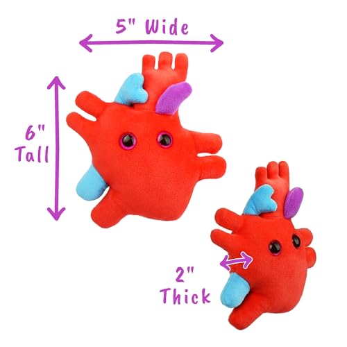 Giant Microbes GIANTmicrobes Heart Plush, Heart Stuffed Animal, Heart Transplant Gifts, Heart Toy, Anatomical Heart Gifts, Cardiologist Gifts, Cardiology Gifts, Open Heart Surgery Gifts, Heart Attack Survivor Gifts - Image 4