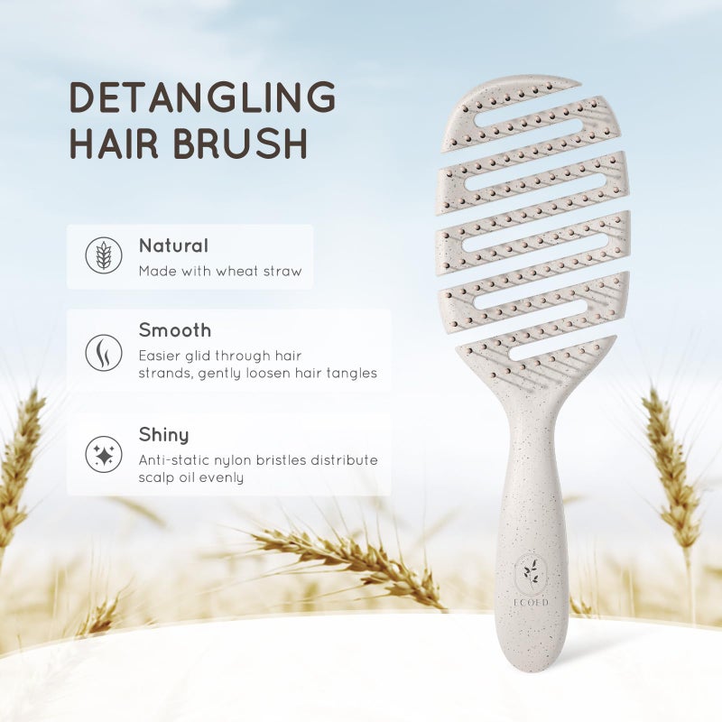 Ecoed Hair Brush, Vented Detangling Brush for Curly, Thick, and Straight Hair - Gently Detangles and Smooths hair - Works on Wet or Dry Hair - Eco-Friendly and Biodegradable - Unisex - Image 2