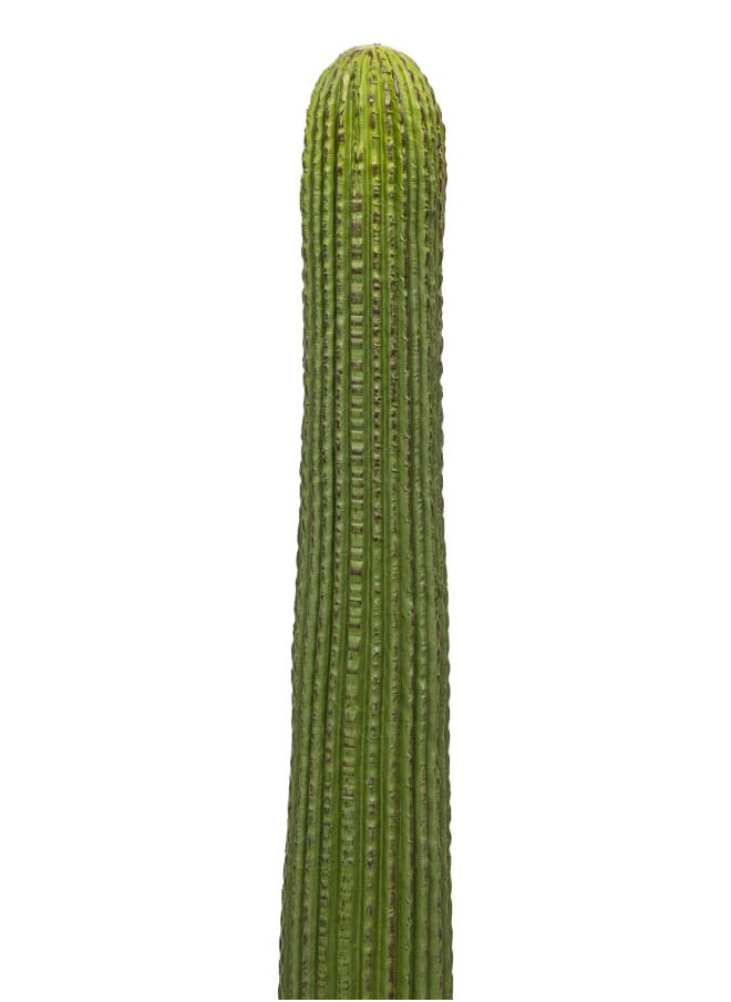 Unique Pots And Plants Cactus Artificial Plant Double Stem H65CM  - Image 2