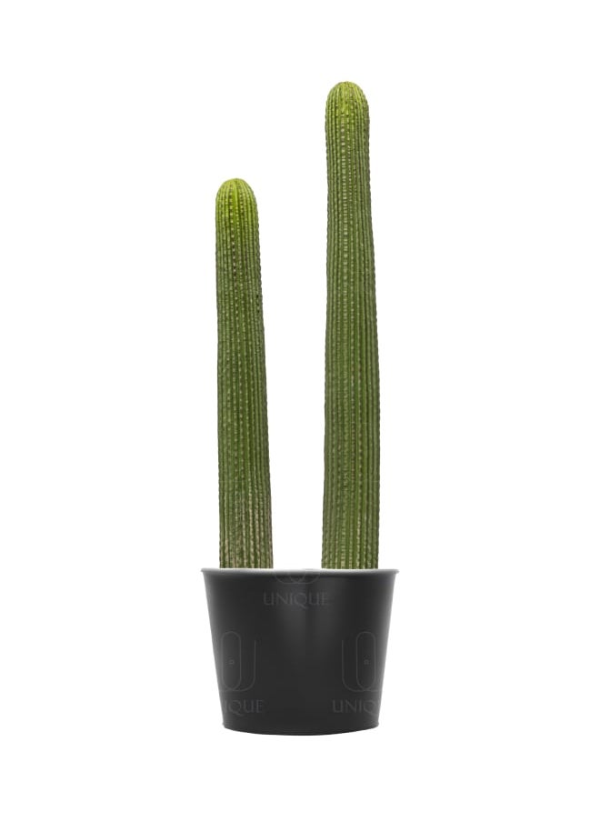 Unique Pots And Plants Cactus Artificial Plant Double Stem H65CM  - Image 1