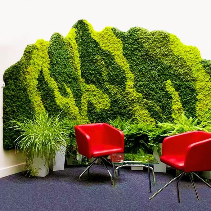 prefleur Preserved Reindeer Moss Natural Green DIY Kit Gardenning Art Wall Decor Florist Decor Table Decor Wedding (0.85lb)(Green-06) - Image 5