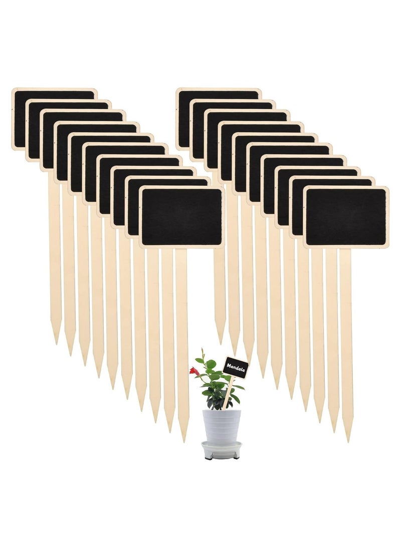 CMGTYYD. 20 قطعة من ملصقات النباتات الخشبية، علامات حدائق صغيرة على شكل حرف T، علامات زينة لأواني الزهور والشتلات والأعشاب والخضروات - Image 1