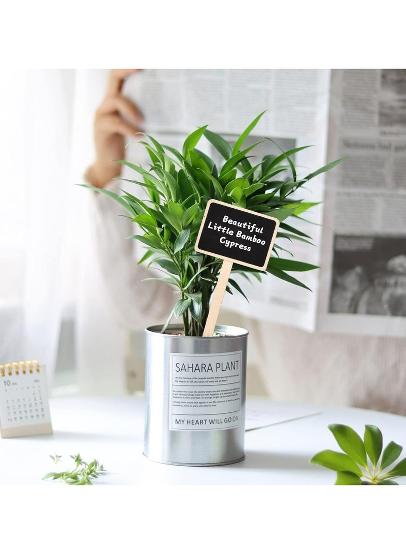 CMGTYYD. 20 قطعة من ملصقات النباتات الخشبية، علامات حدائق صغيرة على شكل حرف T، علامات زينة لأواني الزهور والشتلات والأعشاب والخضروات - Image 3