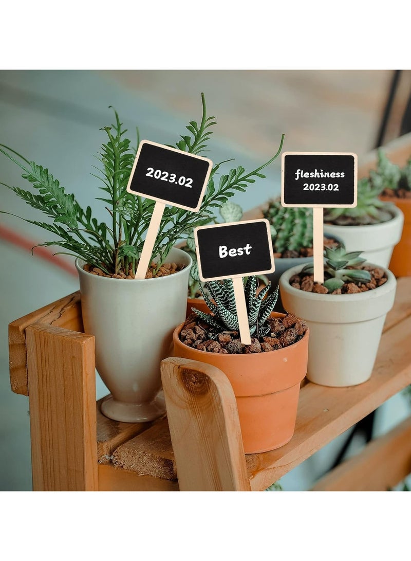 CMGTYYD. 20 قطعة من ملصقات النباتات الخشبية، علامات حدائق صغيرة على شكل حرف T، علامات زينة لأواني الزهور والشتلات والأعشاب والخضروات - Image 5