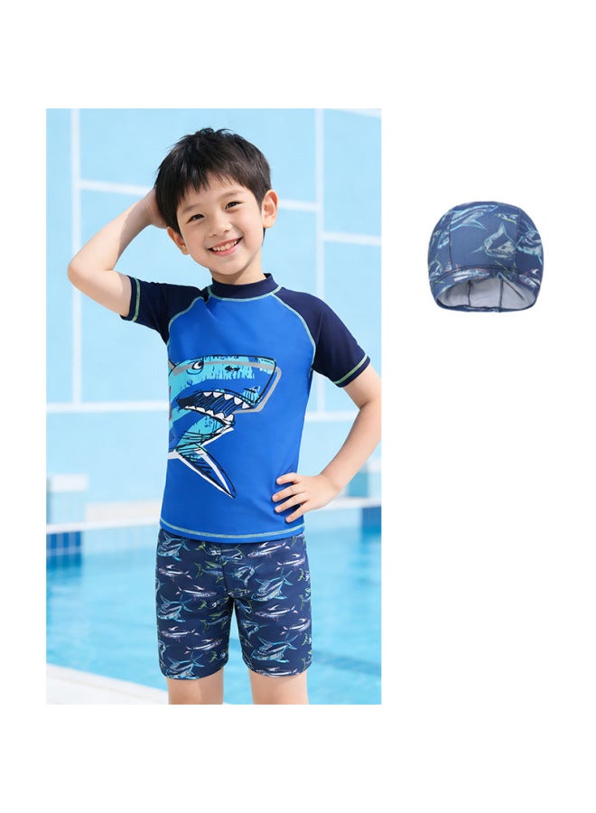 Professional Children's Swimwear Boys' Swimming Suit For Primary And Middle School Students, Two-piece, Breathable, Quick-dry Set