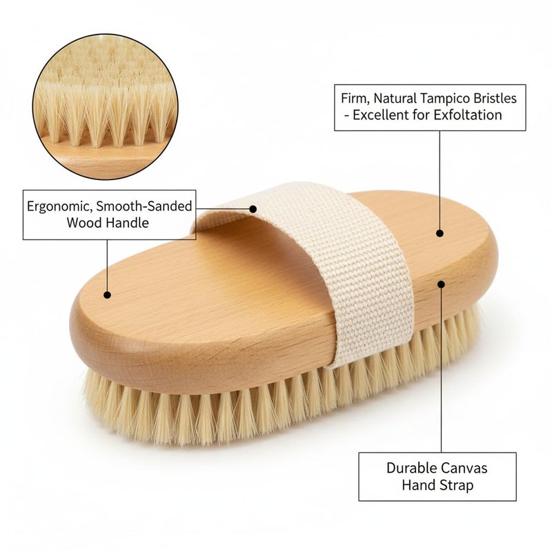 ETSAP فرشاة استحمام جافة مقشرة على شكل بيضاوي | لتصريف اللمف ومظهر السيلوليت | تزيل خلايا الجلد الميتة وتمنع الشعر الناشئ | فرشاة استحمام خشبية بشعيرات طبيعية | (1 وحدة) - Image 4