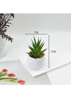 Spotted aloe vera + plastic diamond pot