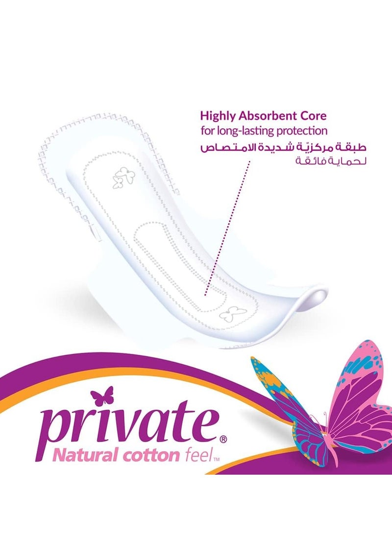 Private Night with Wings Feminine 14 Pcs Pads - Image 5