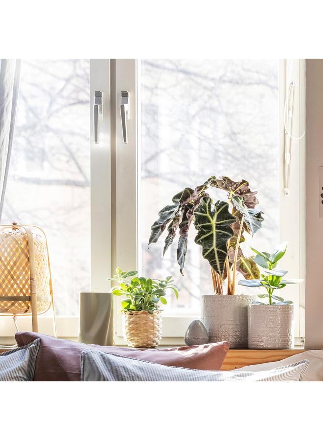 erorex Plant Pot, In/Outdoor White, 12 Cm - Image 4