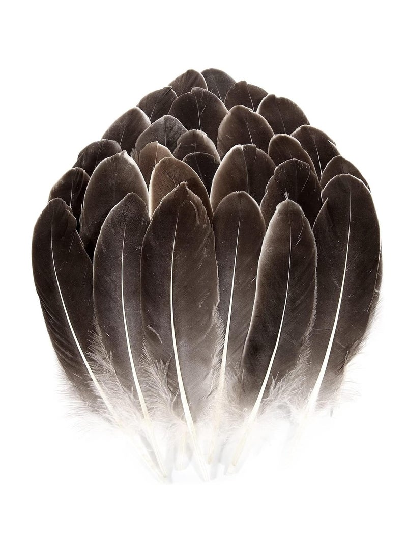 KASTWAVE 100 قطعة من ريش الإوز الطبيعي زينة ملونة متنوعة 6-8 بوصة ريشة للحرف اليدوية مهرجان إريكورد (بني) - Image 1