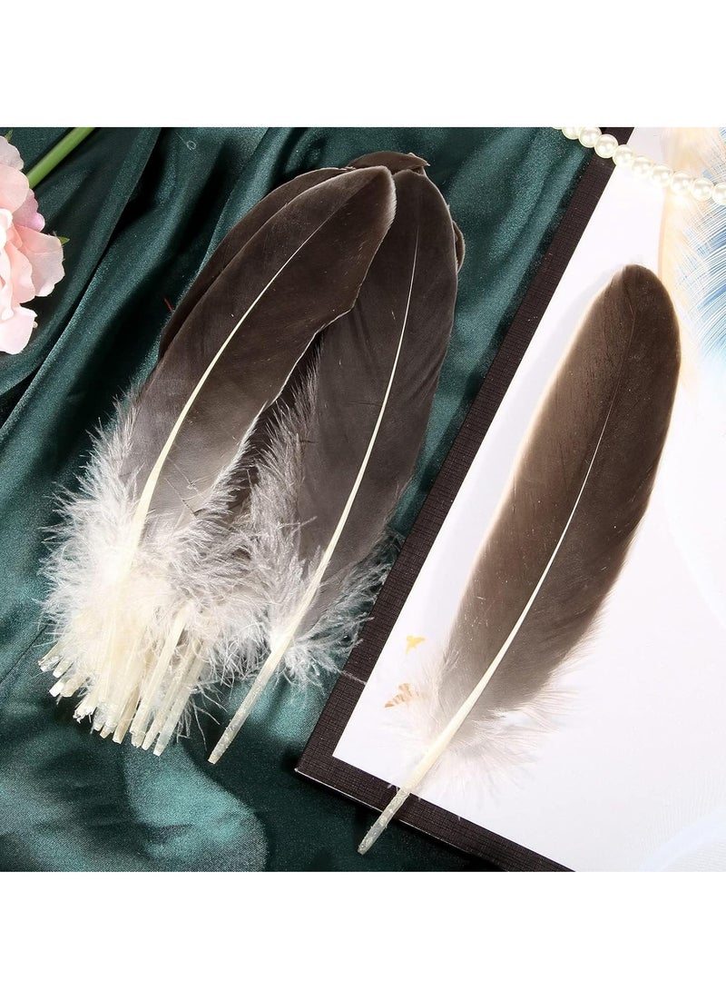 KASTWAVE 100 قطعة من ريش الإوز الطبيعي زينة ملونة متنوعة 6-8 بوصة ريشة للحرف اليدوية مهرجان إريكورد (بني) - Image 4