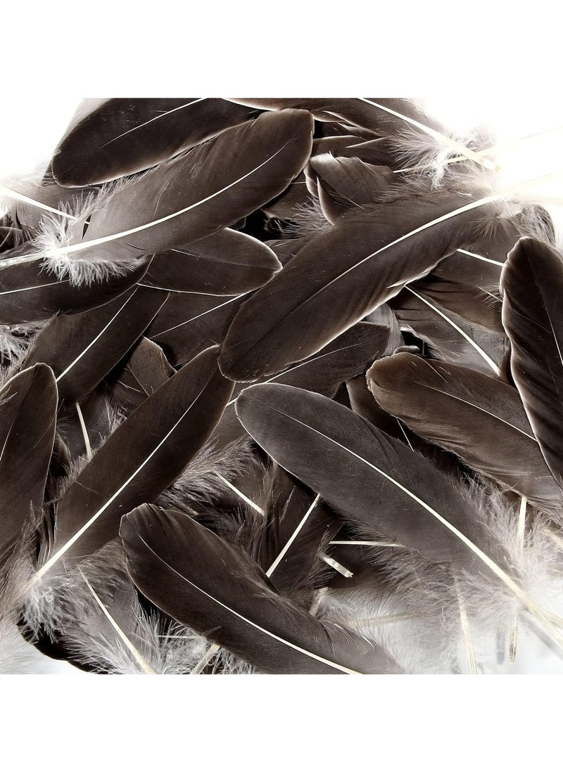 KASTWAVE 100 قطعة من ريش الإوز الطبيعي زينة ملونة متنوعة 6-8 بوصة ريشة للحرف اليدوية مهرجان إريكورد (بني) - Image 3