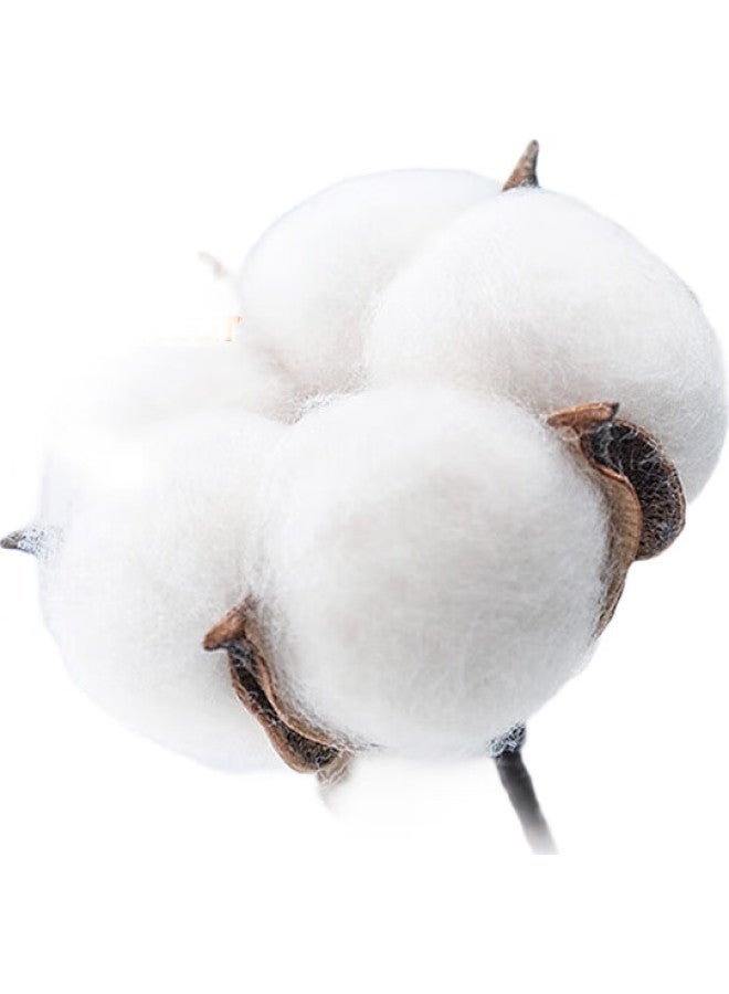 JD.com Men'S 100S Cotton Wrinkle-Free White Business Dress Shirt Short Sleeve Shirt Men White 42 - Image 3