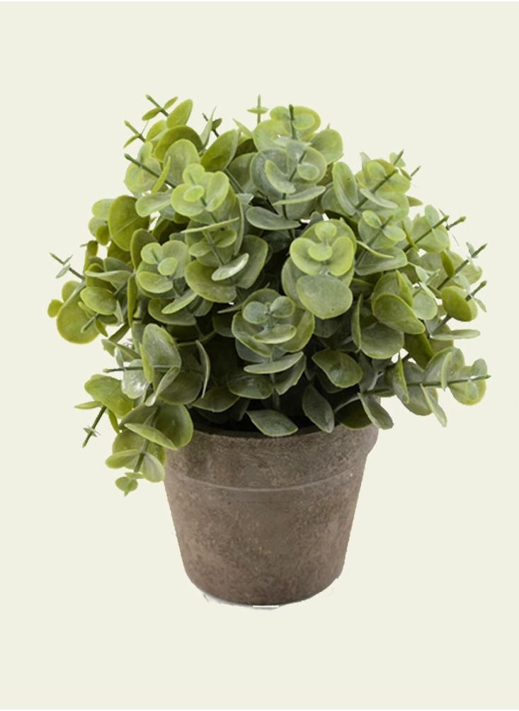 DRAMA HOME Artificial Flowers With Pot 20X9 CM  - Image 1