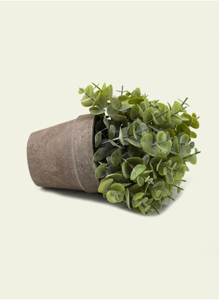 DRAMA HOME Artificial Flowers With Pot 20X9 CM  - Image 2