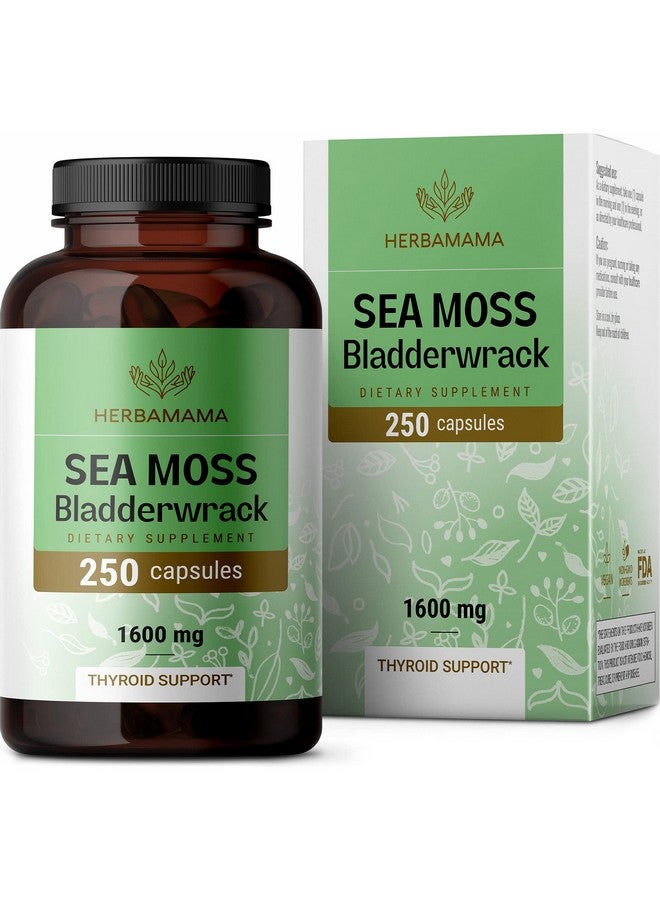 HERBAMAMA Irish Sea Moss Capsules Organic Sea Moss And Bladderwrack Pills Vegan Seamoss For Men & Women Dr Sebi Sea Moss Pills For Energy & Thyroid Support Irish Moss Powder 250 Caps - Image 1