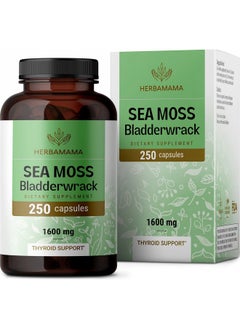 HERBAMAMA Irish Sea Moss Capsules Organic Sea Moss And Bladderwrack Pills Vegan Seamoss For Men & Women Dr Sebi Sea Moss Pills For Energy & Thyroid Support Irish Moss Powder 250 Caps  - Image 2