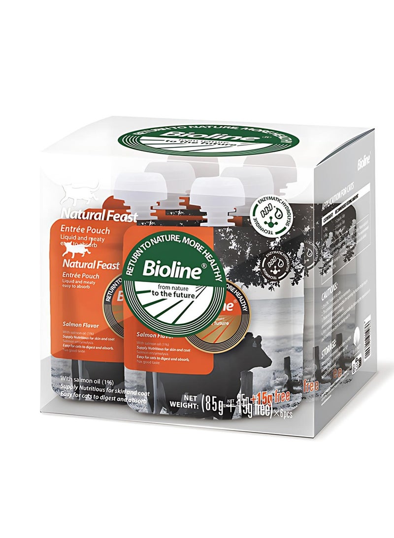 بايولاين 6 قطع من أكياس وجبة القطط الطبيعية بنكهة السلمون، 6 قطع (85 جم + 15 جم) - Image 2