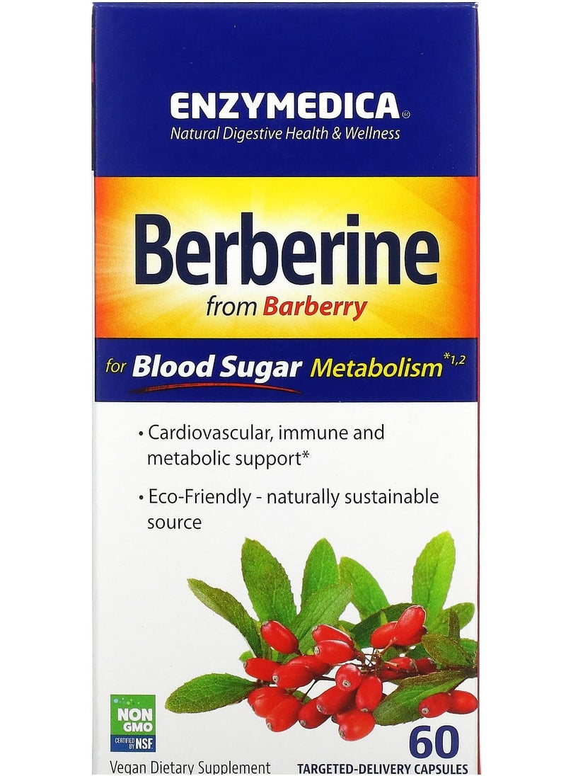 ENZYMEDICA Berberine for Blood Sugar Metabolism, 60 Targeted-Delivery Capsules 