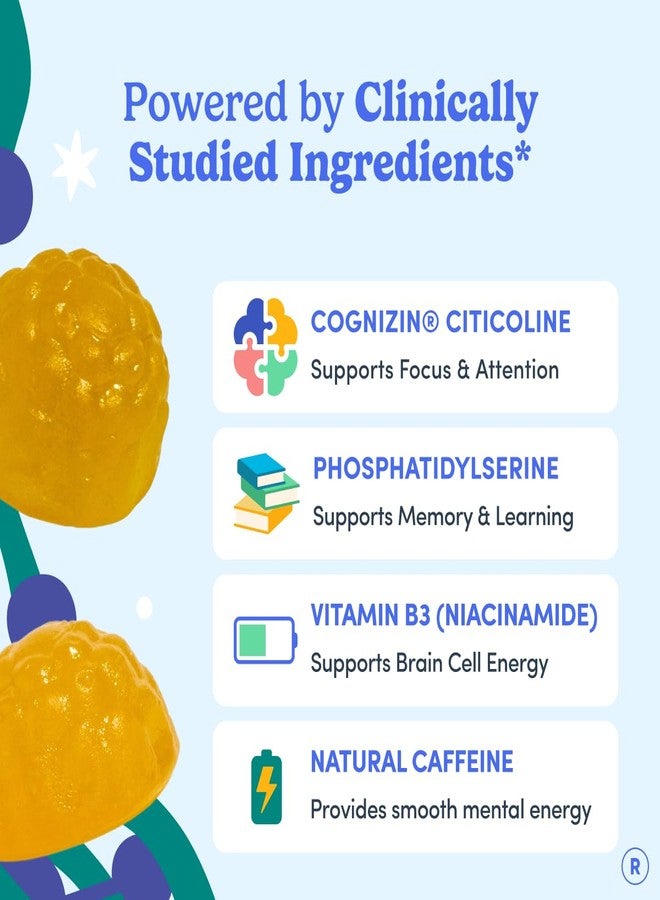 FIRST DAY Men’s Daily Nootropic Brain Supplement Gummies for Focus, Memory & Mental Energy | with Cognizin® Citicoline, Phosphatidylserine & Natural Caffeine | Vegan, Allergen-Free | 30-Day Supply - Image 4