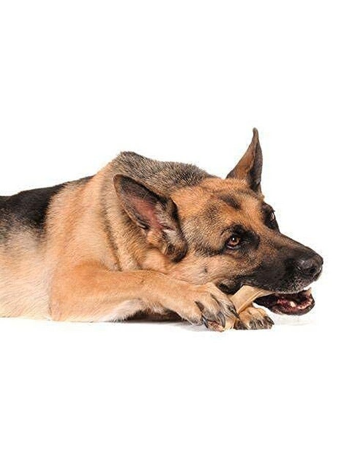 عظام الكلاب المصنوعة من الجلد الخام مقاس 3 بوصات - عبوة من 36 قطعة - Image 2