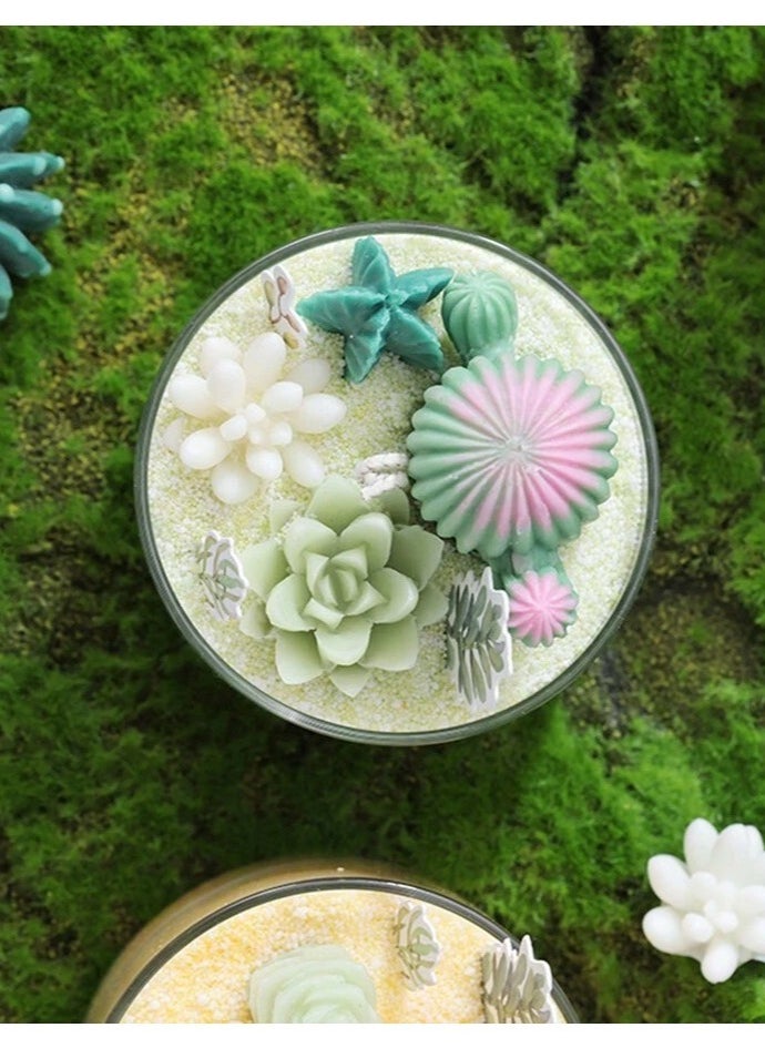 Candle DIY Candle Making Kit, Candle Making Kit Supplies, Colorful Succulent Cactus Candle Aromatherapy, Suitable for Home Indoor, Office, Wedding Gift, Birthday, Party, Student Craft Class  - Image 5