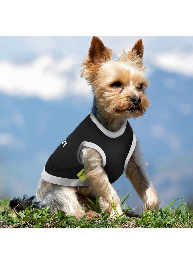 Reginary 8 Pieces Dog Shirts Boy Funny Printed Puppy Shirts Summer Male Soft Dog Clothes Breathable PET T Shirts Outfits Dog Sweatshirt Clothing (Small)  - Image 5