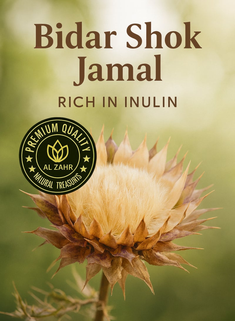 Zahr Shok Jamal Dried Herb – 100% Pure High-Grade, Hand-Sorted Natural Botanical Herb / Jamal Thistle / Wild Thistle Flower Heads for Gardening, Horticulture & Herbal Projects - Image 5