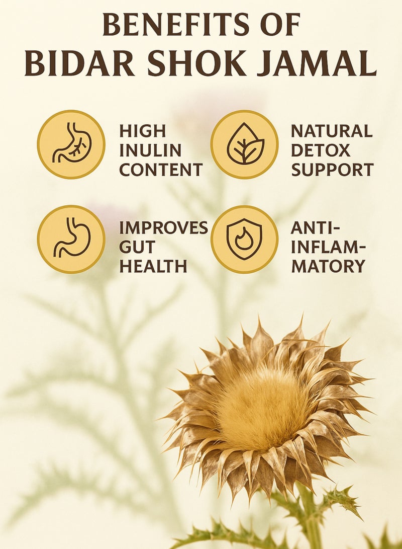 Zahr Shok Jamal Dried Herb – 100% Pure High-Grade, Hand-Sorted Natural Botanical Herb / Jamal Thistle / Wild Thistle Flower Heads for Gardening, Horticulture & Herbal Projects - Image 2