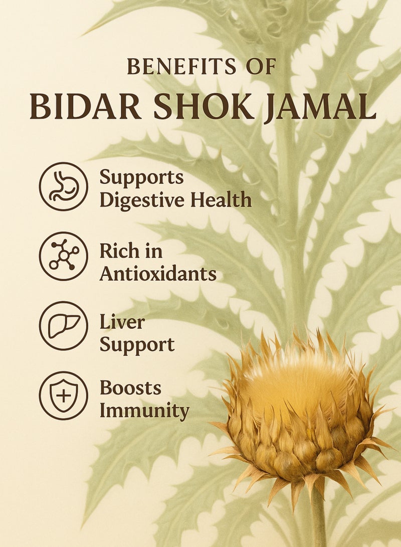 Zahr Shok Jamal Dried Herb – 100% Pure High-Grade, Hand-Sorted Natural Botanical Herb / Jamal Thistle / Wild Thistle Flower Heads for Gardening, Horticulture & Herbal Projects - Image 4