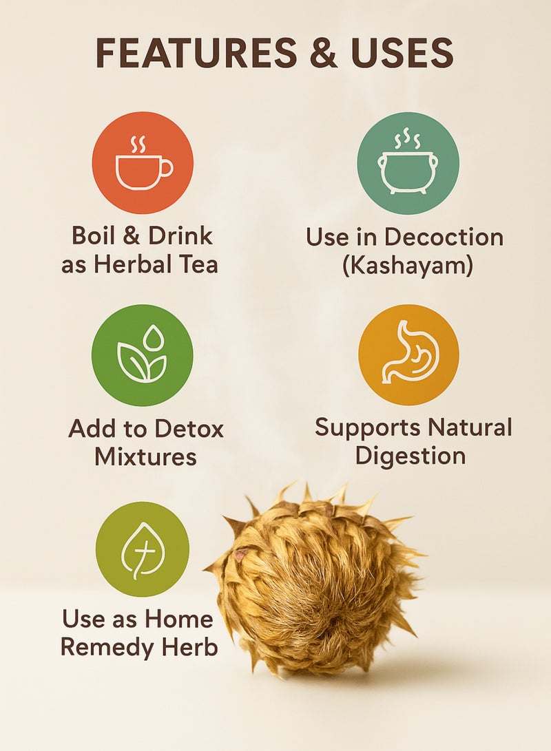 Zahr Shok Jamal Dried Herb – 100% Pure High-Grade, Hand-Sorted Natural Botanical Herb / Jamal Thistle / Wild Thistle Flower Heads for Gardening, Horticulture & Herbal Projects - Image 3