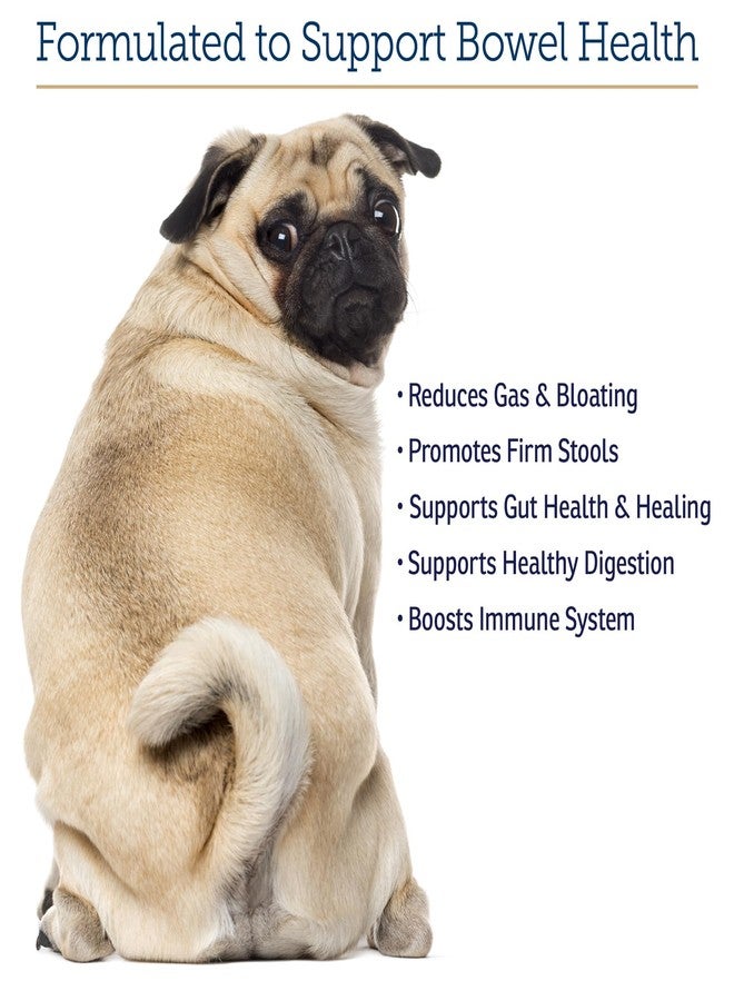 ركس فيتامينز كبسولات نوتريجست من آر إكس فيتامينز للقطط والكلاب - بروبيوتيك لصحة الجهاز الهضمي معزز بالجلوكوزامين لدعم صحة الأمعاء - يساعد في تخفيف الإمساك وعلاج الإسهال - 90 كبسولة - Image 4