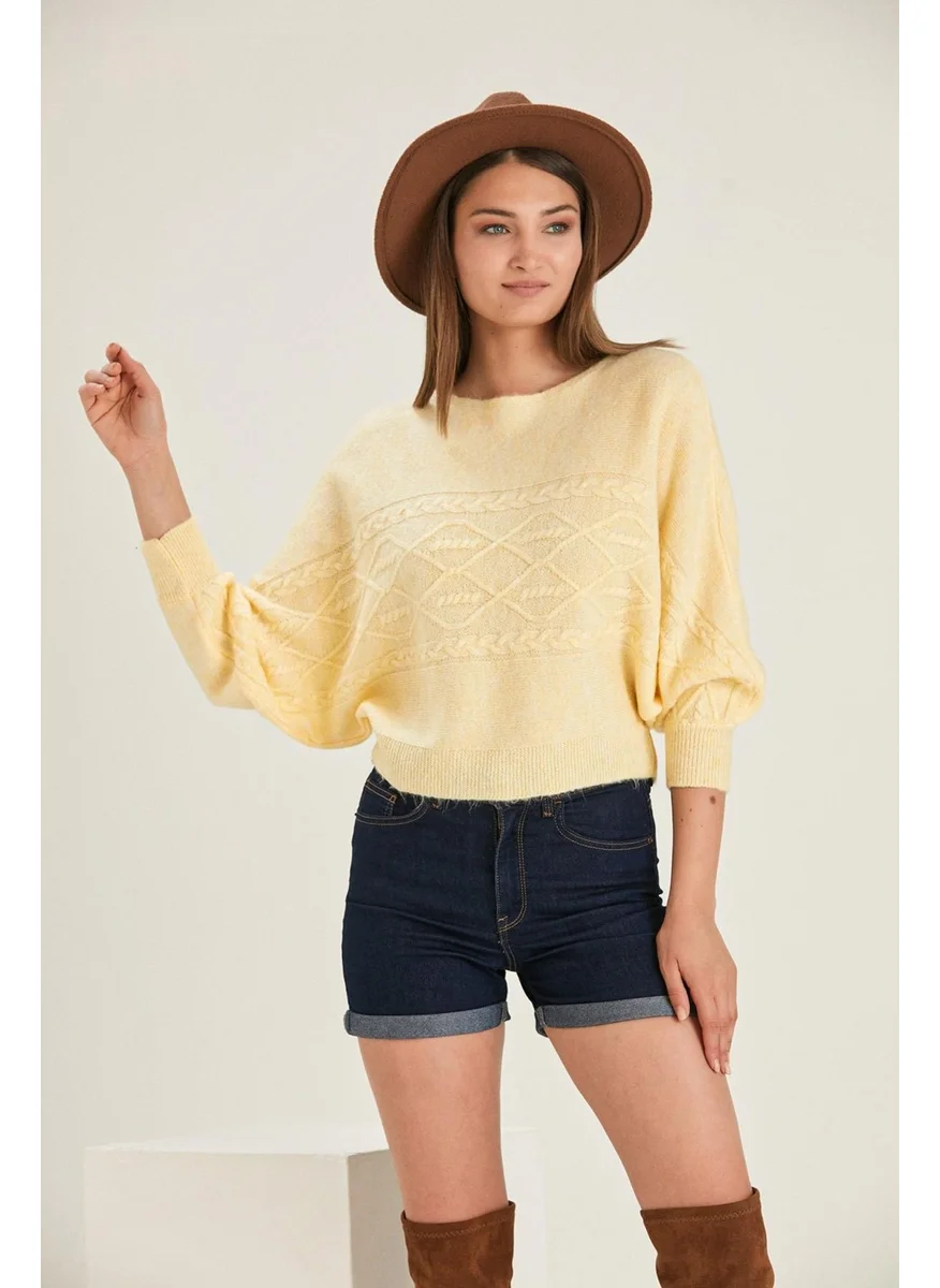الكسندر جاردي Batwing Sleeve Sweater (B22-5750)
