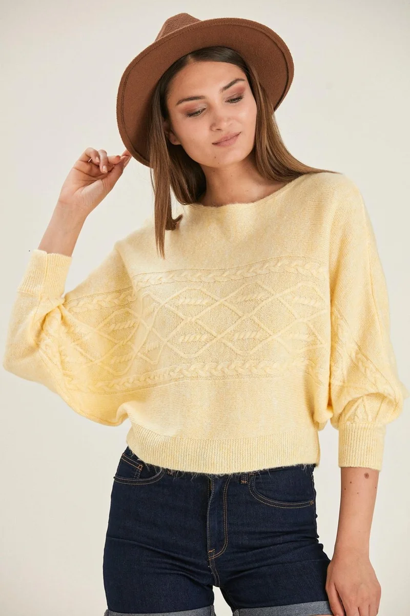 الكسندر جاردي Batwing Sleeve Sweater (B22-5750)